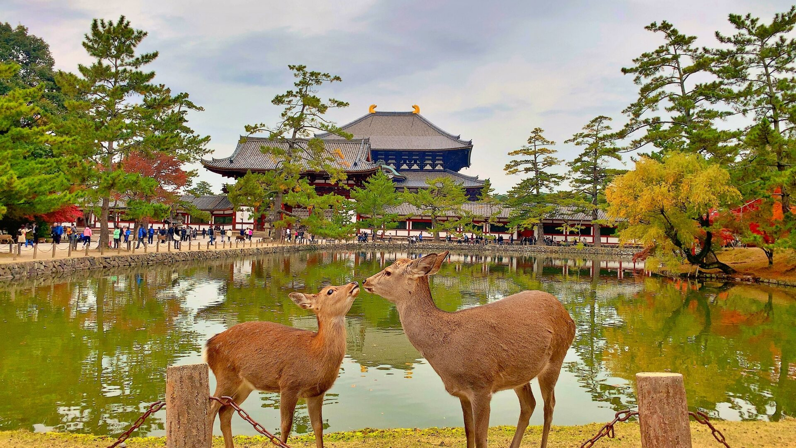 東大寺・奈良公園